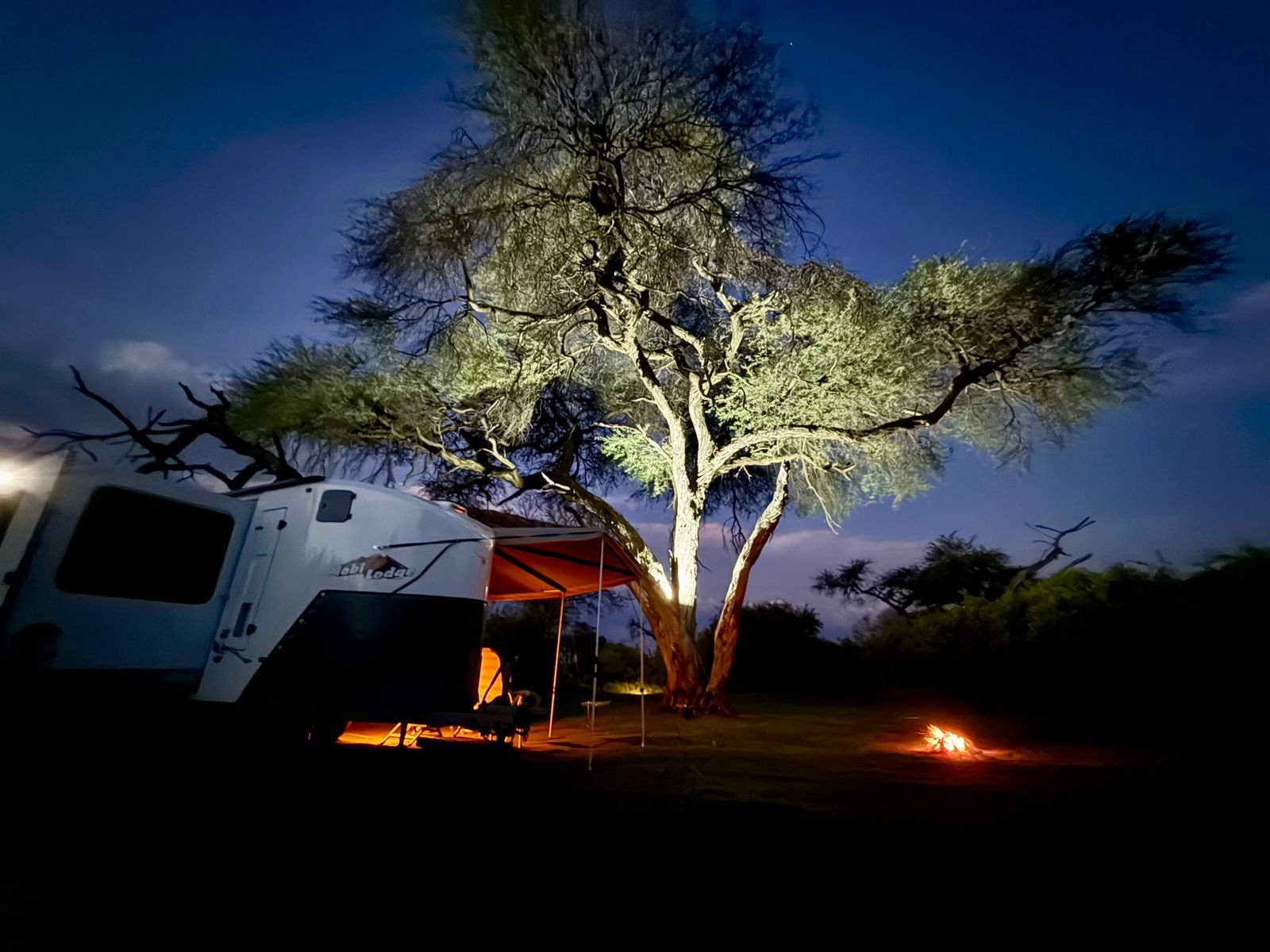 Off-road caravan with awning set up under an acacia tree at dusk in the African bush
